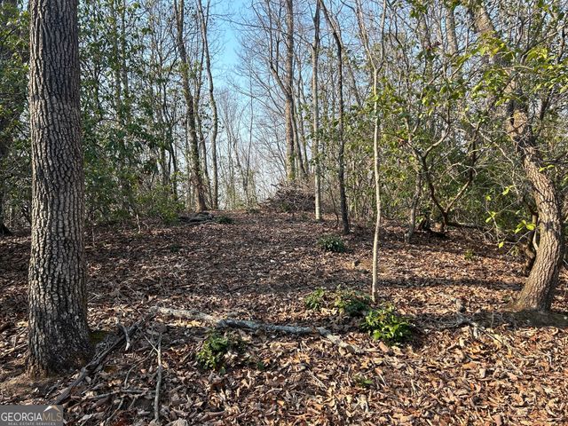 1306 Hot House Road, Hayesville, NC 28904