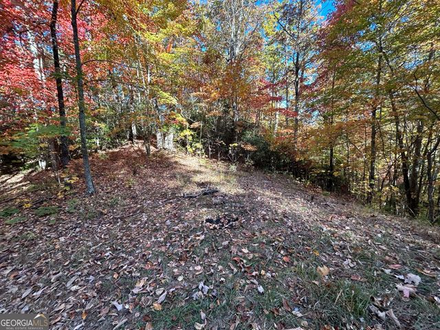 1306 Hot House Road, Hayesville, NC 28904