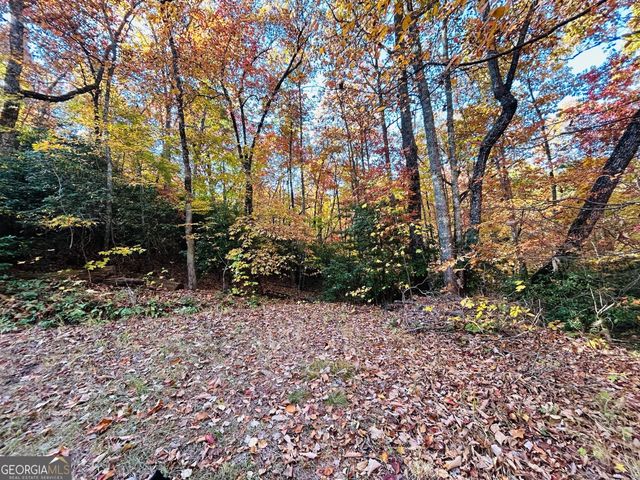 1306 Hot House Road, Hayesville, NC 28904