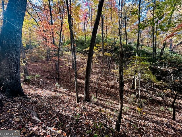 1306 Hot House Road, Hayesville, NC 28904