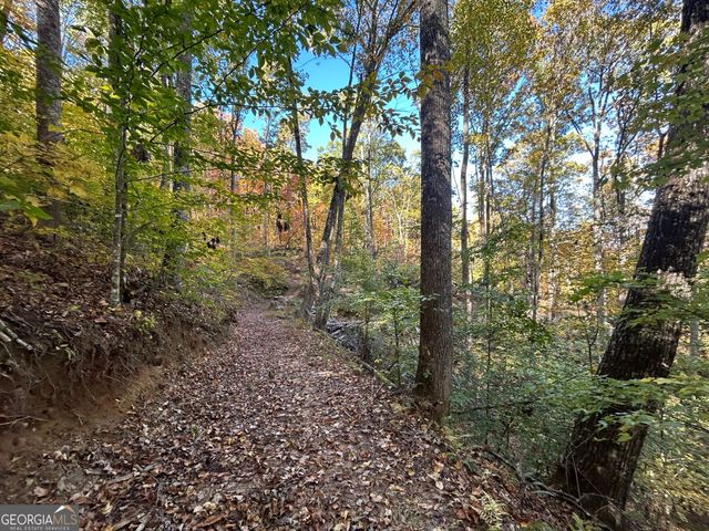 1306 Hot House Road, Hayesville, NC 28904