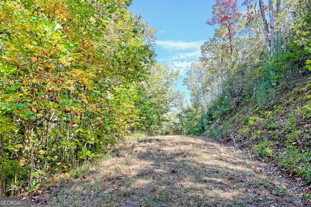 1306 Hot House Road, Hayesville, NC 28904