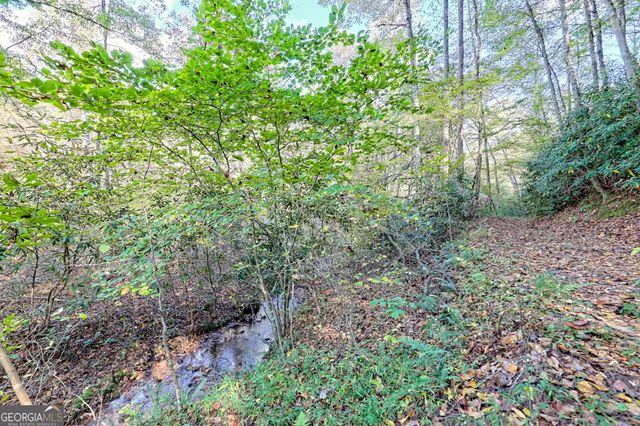 1306 Hot House Road, Hayesville, NC 28904