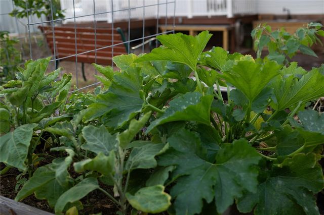 5516 MAZE DRIVE, Punta Gorda, FL 33982