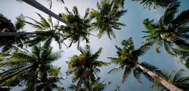 Tbd Oldenberg Street SW, Palm Bay, FL 32908