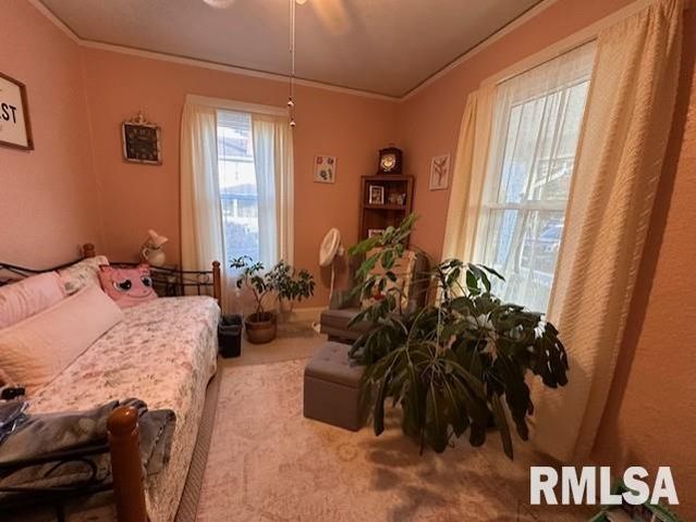 1 JONES Place, Jacksonville, IL 62650