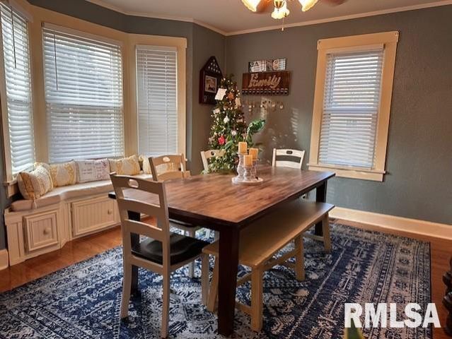 1 JONES Place, Jacksonville, IL 62650