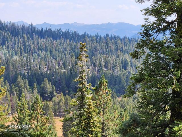 281 Bloods Ridge Rd, Bear Valley, CA 95223