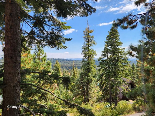 281 Bloods Ridge Rd, Bear Valley, CA 95223