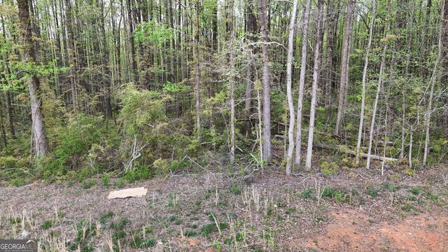 0 Burruss Mill Road, Cumming, GA 30041
