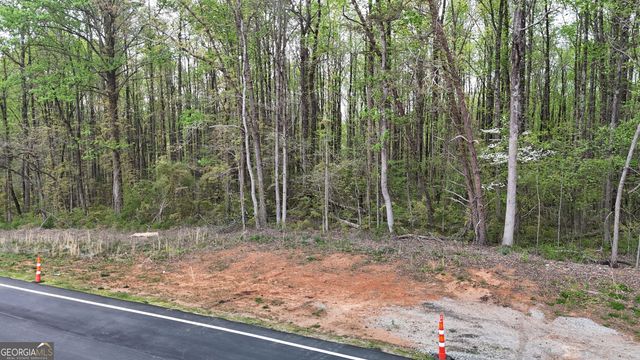 0 Burruss Mill Road, Cumming, GA 30041