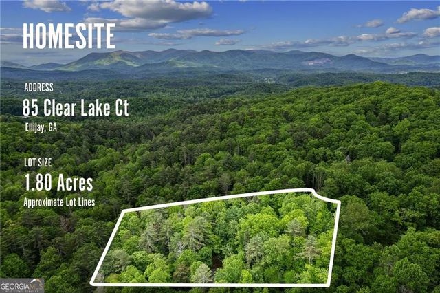 85 Clear Lake Court, Ellijay, GA 30540