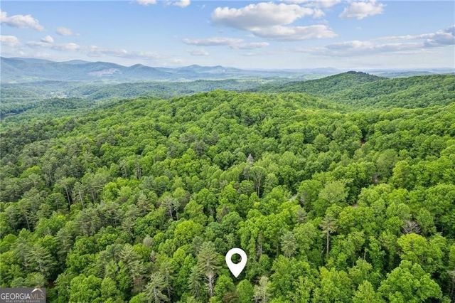 85 Clear Lake Court, Ellijay, GA 30540