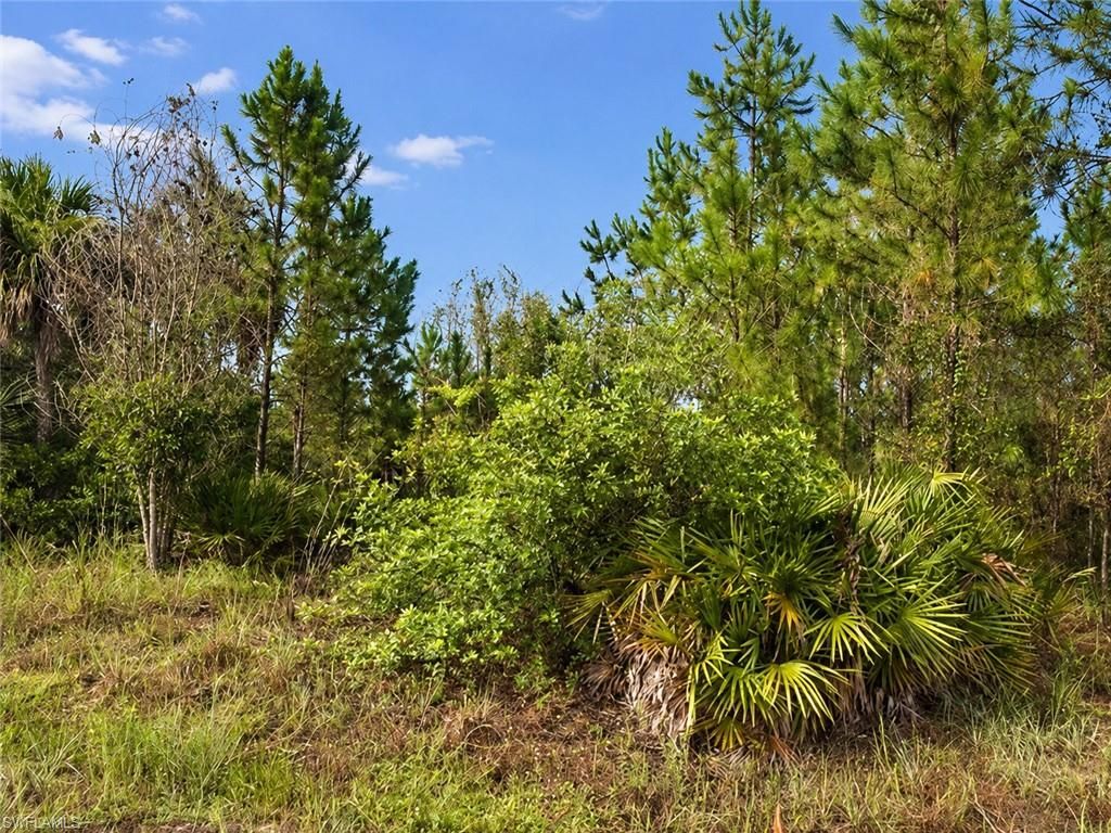 1010 Columbus AVE, LEHIGH ACRES, FL 33972 — photo 2