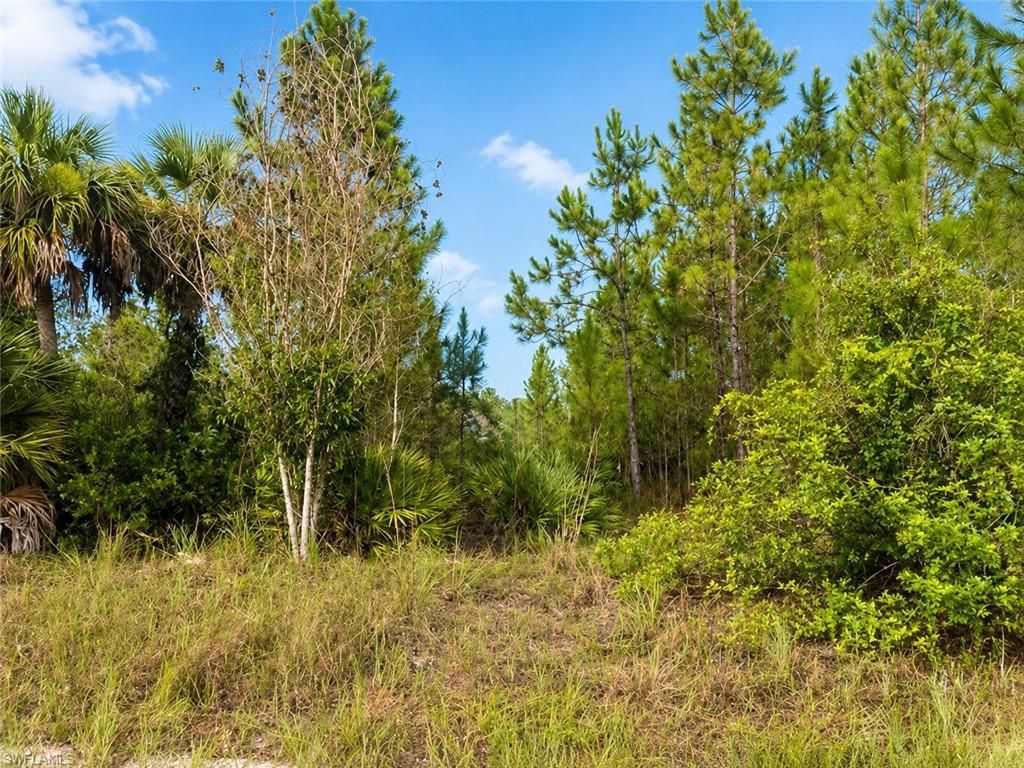 1010 Columbus AVE, LEHIGH ACRES, FL 33972 — photo 3