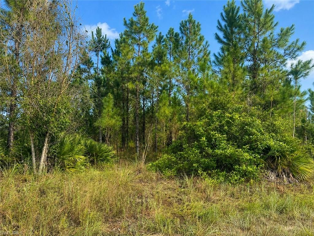 1010 Columbus AVE, LEHIGH ACRES, FL 33972 — photo 4