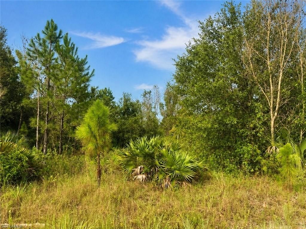 1010 Columbus AVE, LEHIGH ACRES, FL 33972 — photo 5