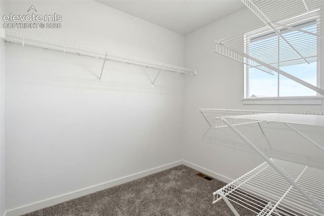8275 Nat Love Drive, Colorado Springs, CO 80908
