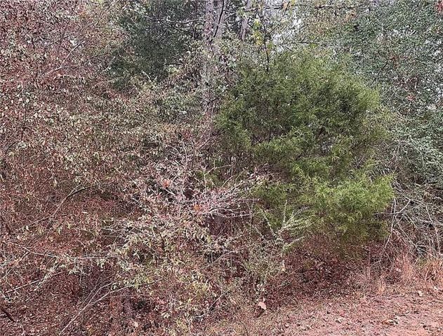 4103 Sierra Court SW, Stockbridge, GA 30281
