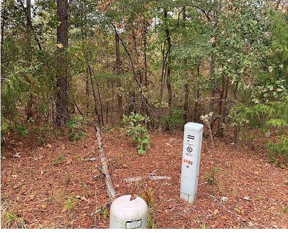4103 Sierra Court SW, Stockbridge, GA 30281