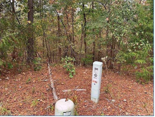 4103 Sierra Court SW, Stockbridge, GA 30281