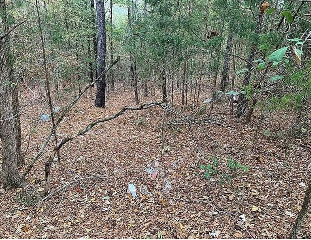 4103 Sierra Court SW, Stockbridge, GA 30281