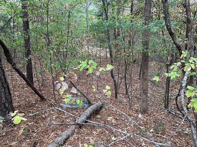 4103 Sierra Court SW, Stockbridge, GA 30281