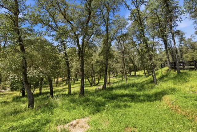 1400 Crooked Mile Ct, Placerville, CA 95667