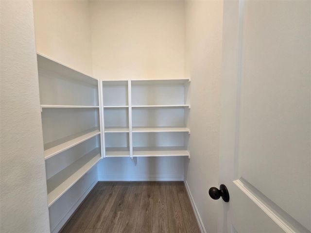 21635 Foxes Trove Trail, Magnolia, TX 77355