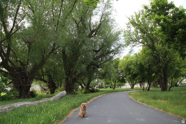 1676 S SPRING CREEK RANCH RD, Lehi, UT 84043
