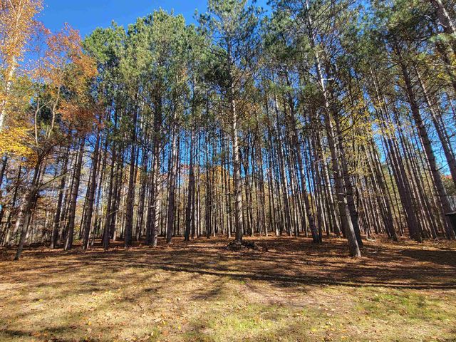 3385 Jones Road, Beaverton, MI 48612