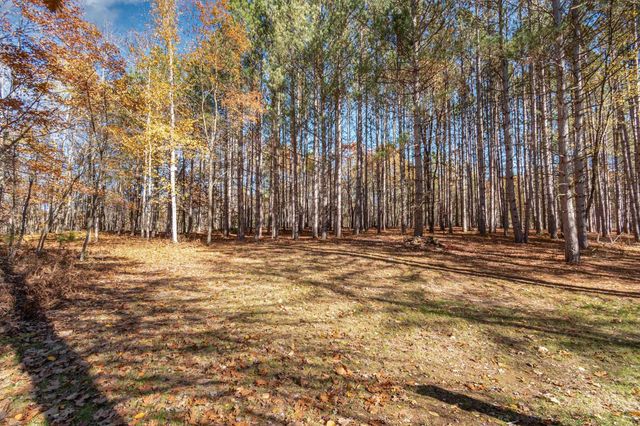 3385 Jones Road, Beaverton, MI 48612