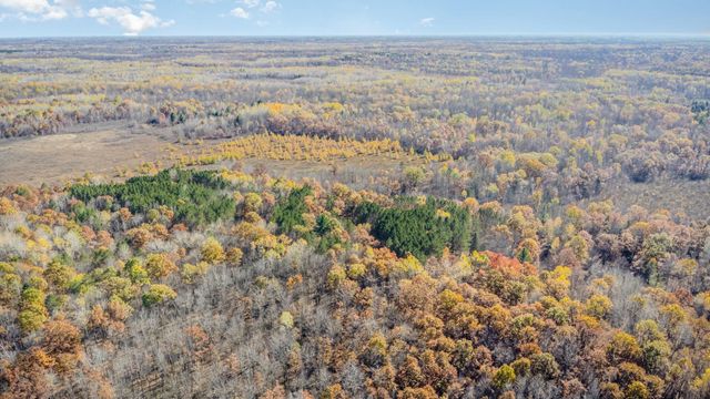 3385 Jones Road, Beaverton, MI 48612