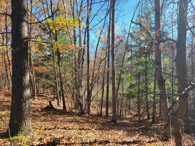 3385 Jones Road, Beaverton, MI 48612