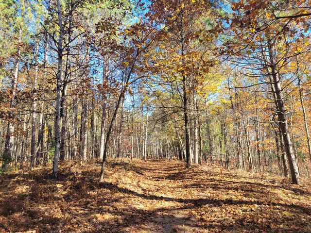 3385 Jones Road, Beaverton, MI 48612