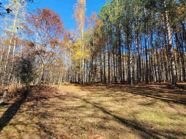 3385 Jones Road, Beaverton, MI 48612
