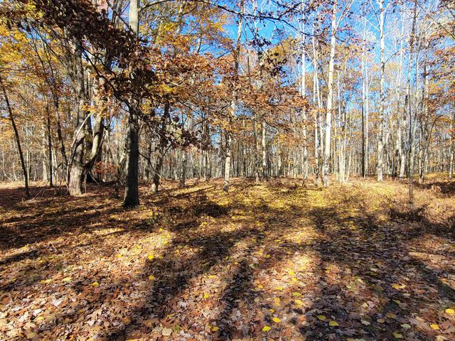3385 Jones Road, Beaverton, MI 48612