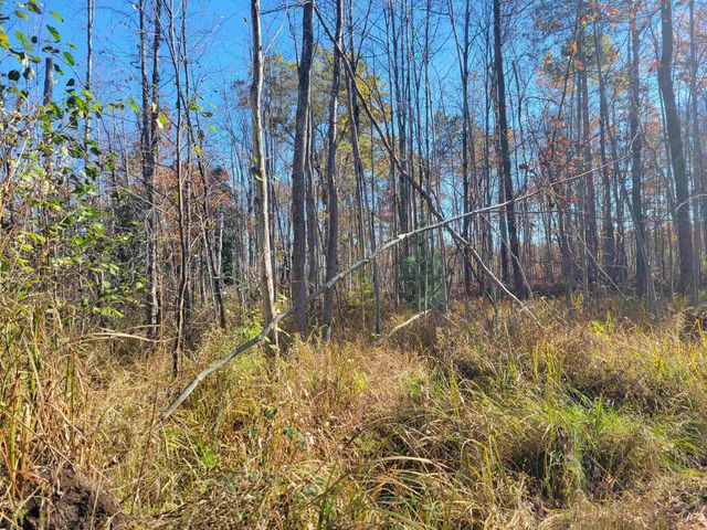 3385 Jones Road, Beaverton, MI 48612