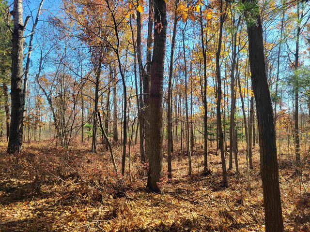 3385 Jones Road, Beaverton, MI 48612