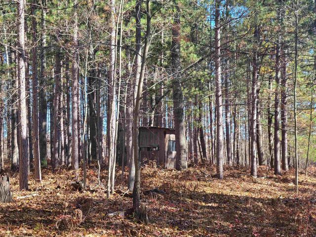 3385 Jones Road, Beaverton, MI 48612