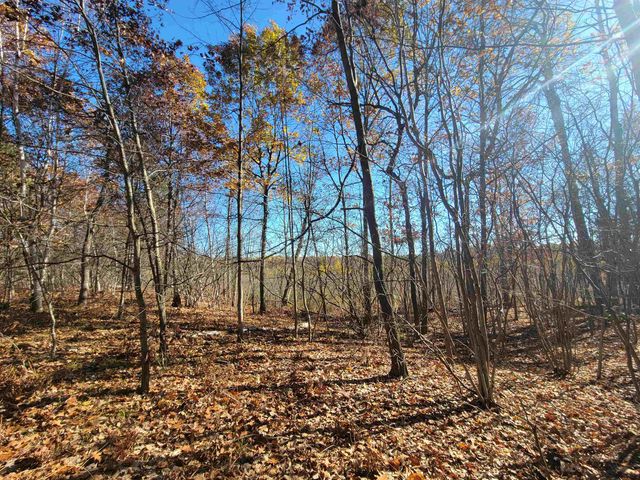 3385 Jones Road, Beaverton, MI 48612