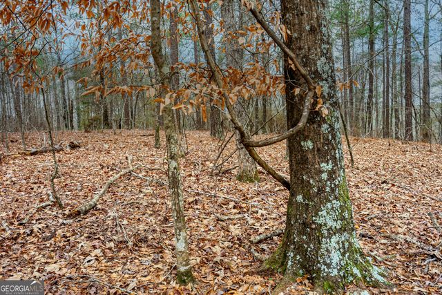 295 Ferrell Tatum Road, Lagrange, GA 30240