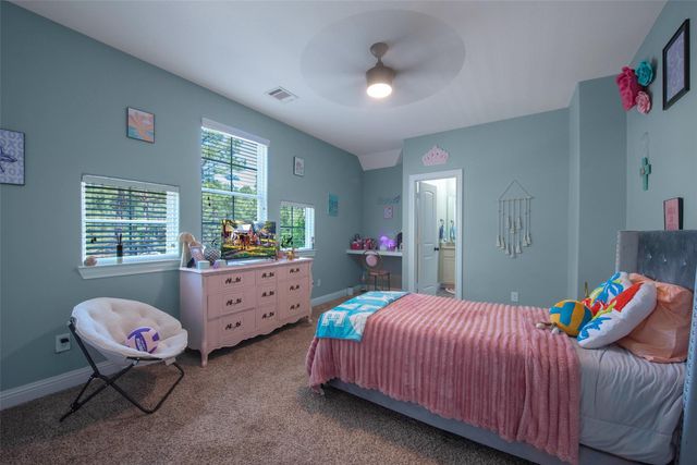 29300 Sorrel Lane, Waller, TX 77484