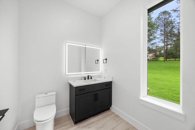 13010 Royal Hill Court, Montgomery, TX 77316