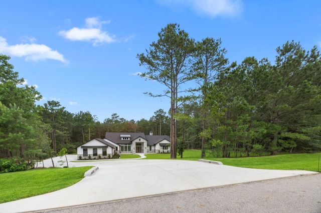 13010 Royal Hill Court, Montgomery, TX 77316