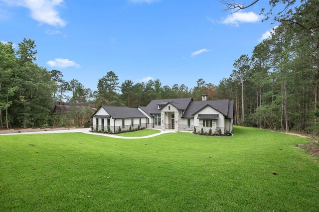 13010 Royal Hill Court, Montgomery, TX 77316