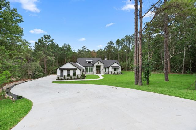 13010 Royal Hill Court, Montgomery, TX 77316