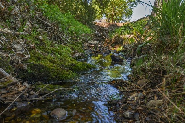 320 Gopher Flat Rd, Sutter Creek, CA 95685