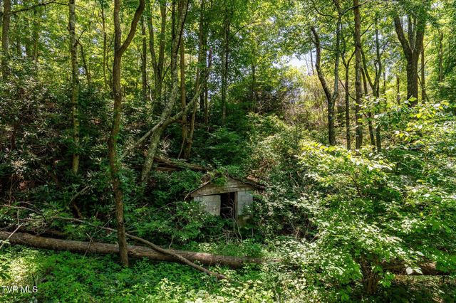 1426 Poga Road, Butler, TN 37640