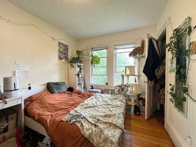 146 Webster Avenue 3, Cambridge, MA 02141